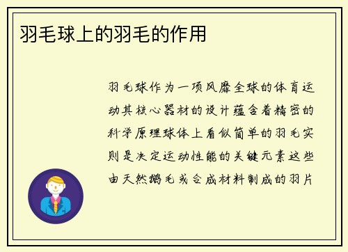 羽毛球上的羽毛的作用