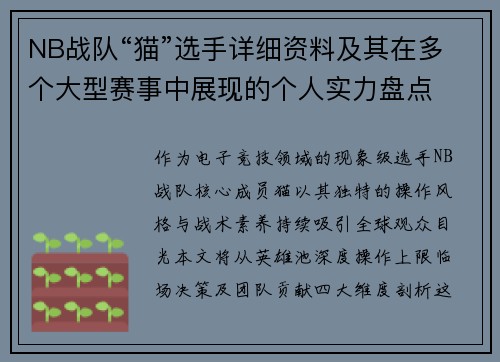 NB战队“猫”选手详细资料及其在多个大型赛事中展现的个人实力盘点